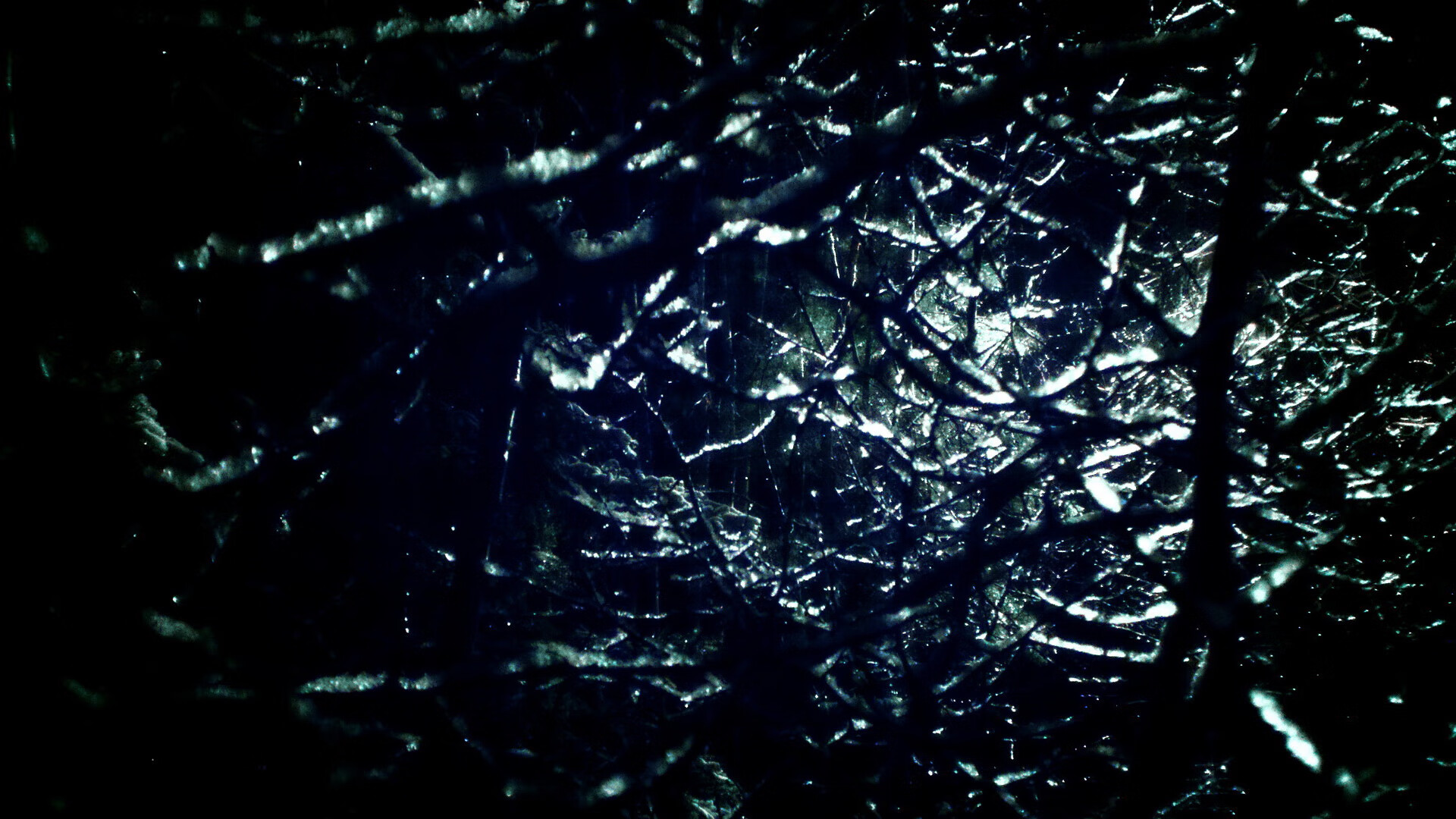 从跑车到经典：回顾WRC历史上的传奇车型与车手传奇，wrc历届车型