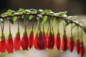 开云体育中国官网-【搞笑】塞内加尔后卫滑倒后误打误撞完成助攻，塞内加尔怎么样