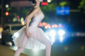 开云中国-夺冠的“秘密武器”：不可或缺的核心球员