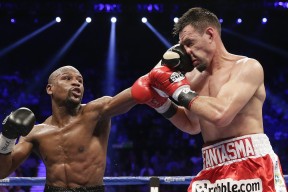 开云彩票-体育新闻中心伤病恢复速报，体育全部新闻