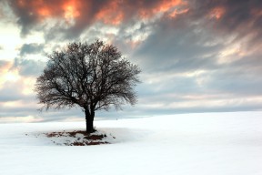 开云中国官网-拜仁锋线新星持续高光表现，未来潜力无限，拜仁 新星