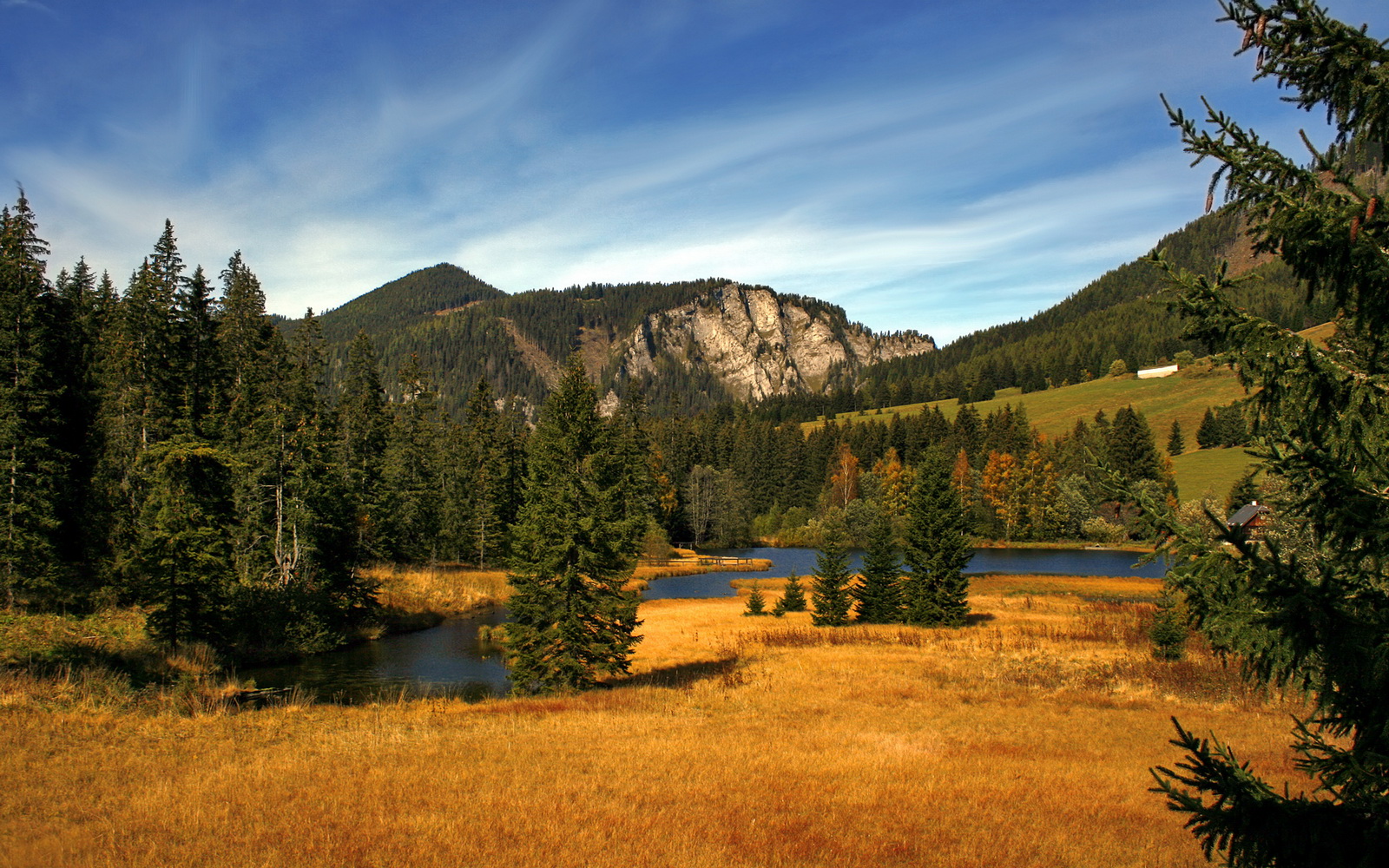 全国青少年“篮球+互联网”创新平台正式上线，开启数字青训新空间