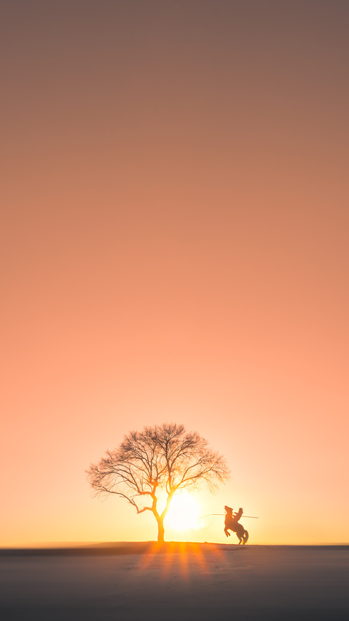 复古风潮：怀旧球衣成为球迷新宠，复古球衣nba